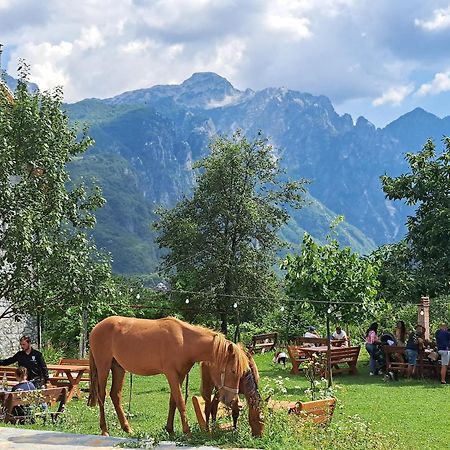 Villa Gjecaj Guesthouse And Restaurant Theth Luaran gambar