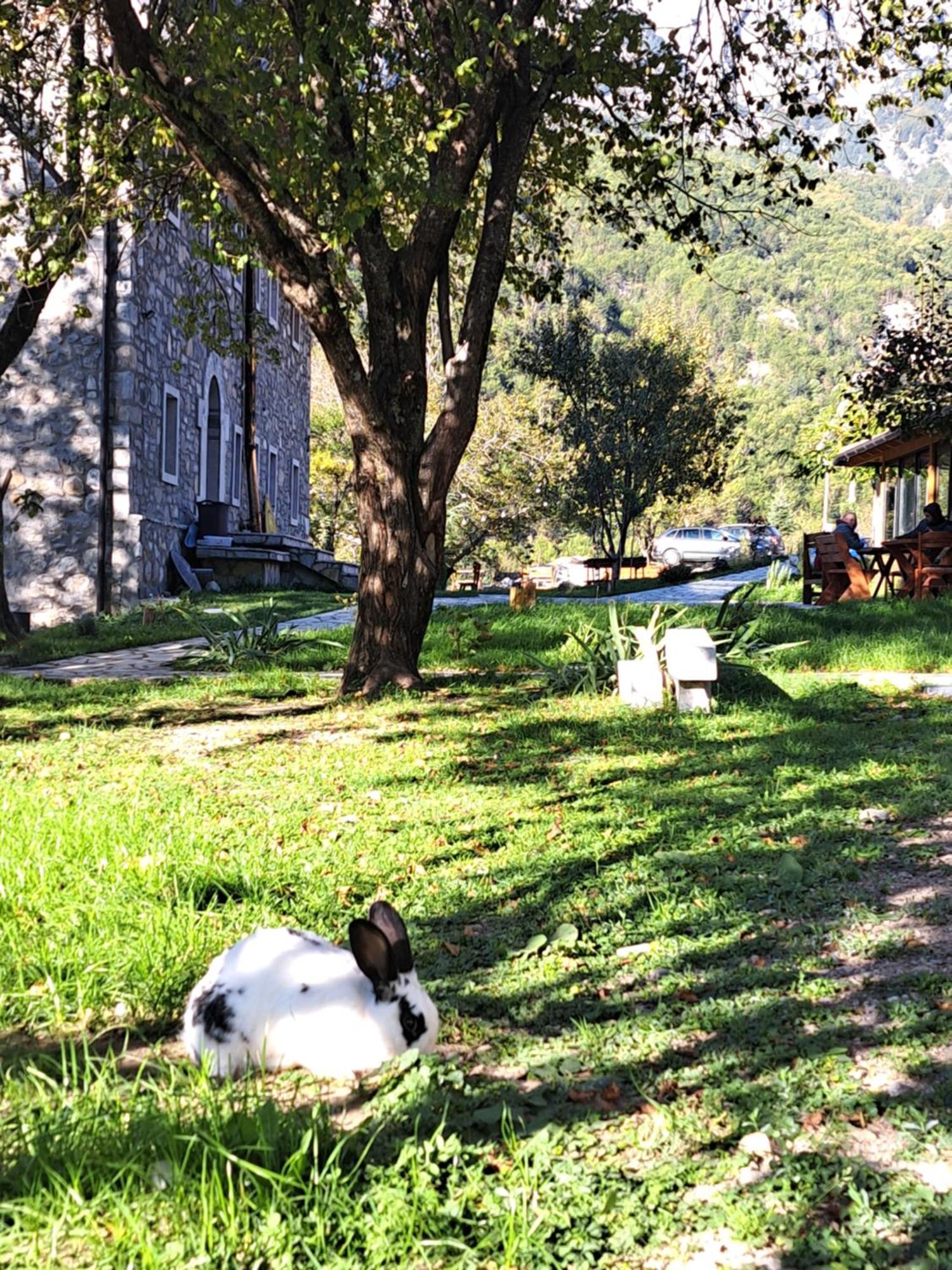 Villa Gjecaj Guesthouse And Restaurant Theth Luaran gambar